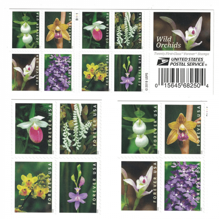 100 USPS Wild Orchids 2020 Forever Stamps - Booklet of 20 Postage Stamps - Image 5