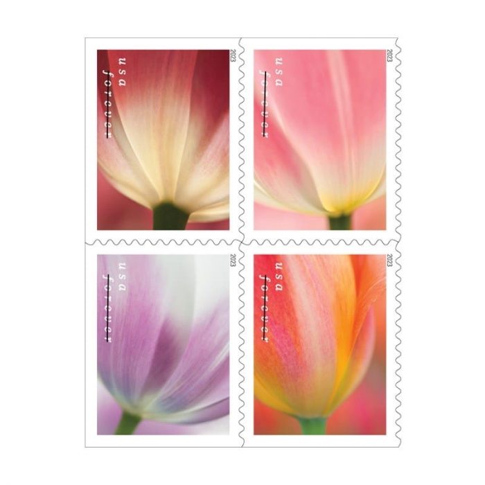 100 Forever Stamps 2023 USPS First-Class Tulip Blossoms Postage 5 Booklets (20PCS/Booklet)